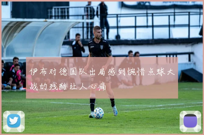 伊布对德国队出局感到惋惜点球大战的残酷让人心痛