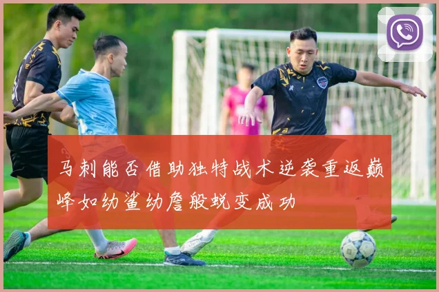 马刺能否借助独特战术逆袭重返巅峰如幼鲨幼詹般蜕变成功